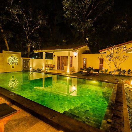 Tree Of Life Resort Bentota Exterior photo